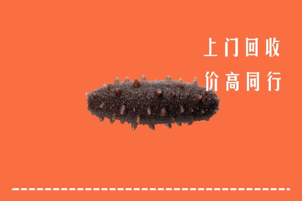高价求购：鄂州回收海参