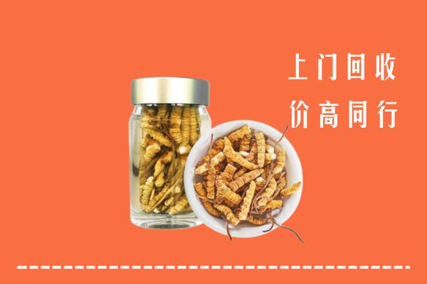 鄂州回收冬虫夏草
