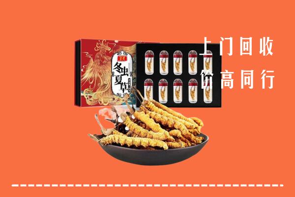 鄂州回收虫草